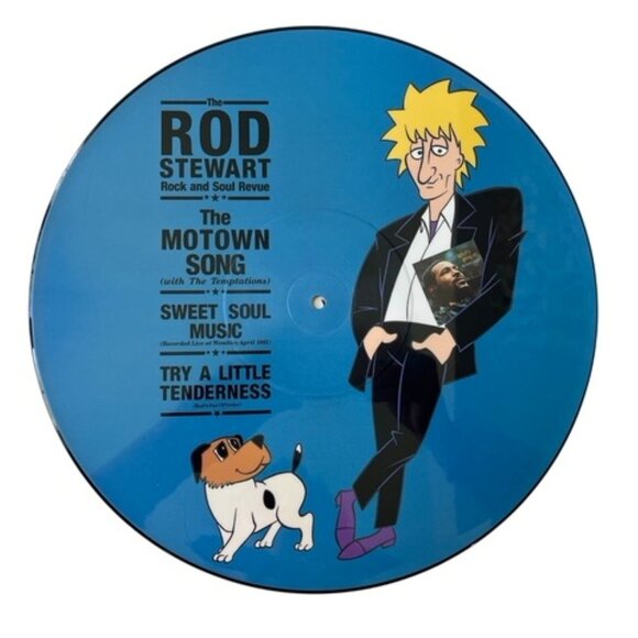 LE ROD STEWART Picture Disc Vinyl Album | Record Released 1991 British Rock Musi - Picture 1 of 4